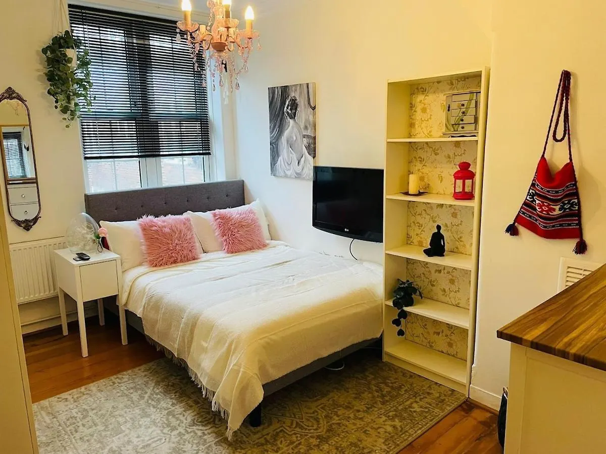 Situated In Greenwich Cutty Sark Riverside London Apartment